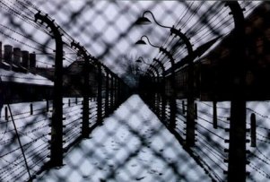 photo: Barbed wire perimeter fence at Auschwitz