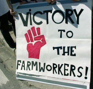 Victory to the Farm-Workers!