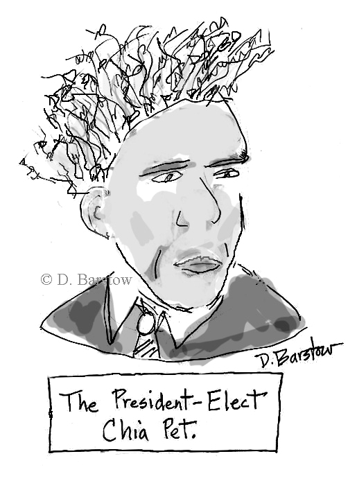 A cartoon of Barack Obama with wavy, kinky hair standing on end, inscribed "The President Elect Chia Pet"