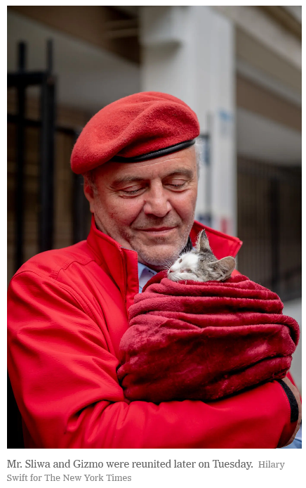 [Here's a photo from the New York Times, captioned: Mr. Sliwa and Gizmo were reunited later on Tuesday.Credit...Hilary Swift for The New York Times.]